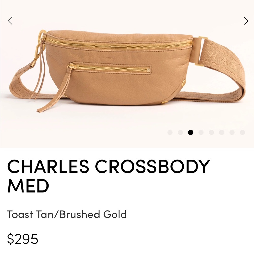 Hammitt crossbody